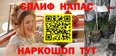 шишки Ирбит
