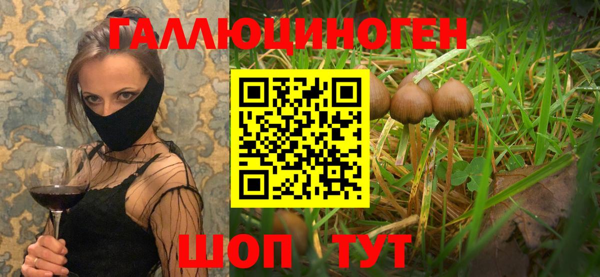 Галлюциногенные грибы прущие грибы Углич
