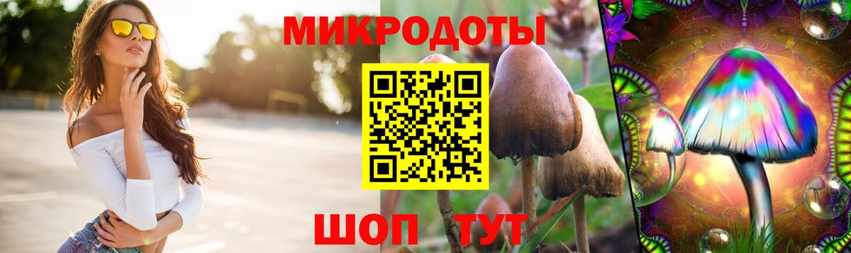 Псилоцибиновые грибы Magic Shrooms  купить  цена  Углич  Вход с VPN 